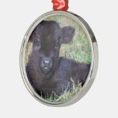 Kortgeboren zwarte schotkaap metalen ornament (Links)