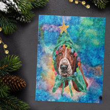 Korthals Basset Hondenras Kerstmis