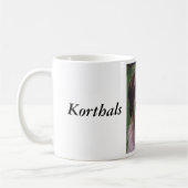 Korthals Griffon - Tsjip-portret Koffiemok (Links)