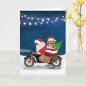 Korthals Hond Kerstmis Sinterklaas  Kaart (Gele Bloem)