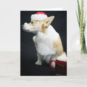 Korthals met slagroom op zijn neus Kerstmis Kaart