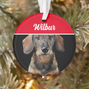 Kortharige Dachshund met naam en foto Kerstmis Ornament