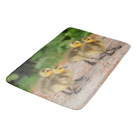 Korting op de parade: Canada Goose Goslings Badmat (Gekanteld)