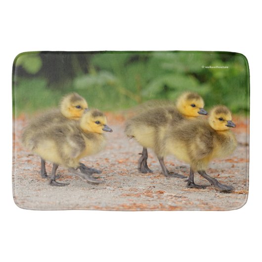 Korting op de parade: Canada Goose Goslings Badmat (Voorkant)