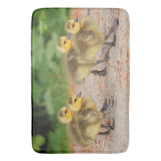 Korting op de parade: Canada Goose Goslings Badmat (Voorkant Verticaal)