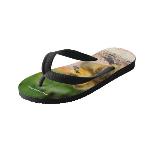 Korting op de parade: Canada Goose Goslings Kinder Teenslippers (Schuin)