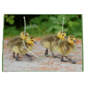 Korting op de parade: Canada Goose Goslings Large Cadeautasje (Voorkant)