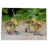 Korting op de parade: Canada Goose Goslings Large Cadeautasje (Achterkant)