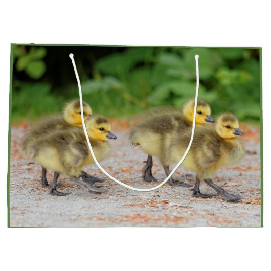 Korting op de parade: Canada Goose Goslings Large Cadeautasje (Achterkant)