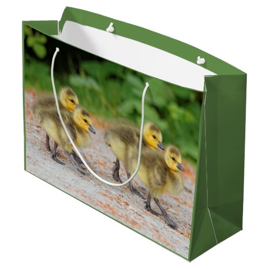 Korting op de parade: Canada Goose Goslings Large Cadeautasje (Achterkant Gekanteld)