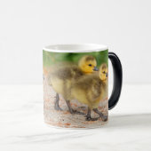 Korting op de parade: Canada Goose Goslings Mok (Voorkant rechts)