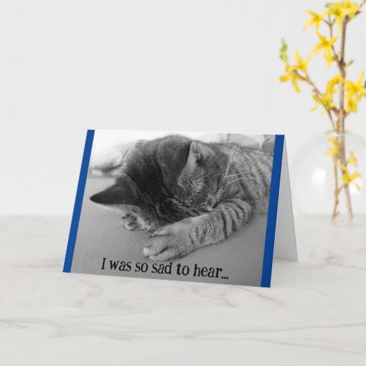 Kortingskaart Beterschap Treurig Kitten Kaart (Gele Bloem)