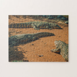 Kortneus krokodillen Zonnebaden nabij schildpadden Legpuzzel