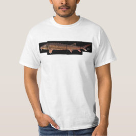 Kortnose Sturgeon - Acipenser brevirostrum T-shirt