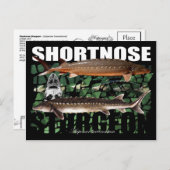 Kortnose Sturgeon Briefkaart (Voorkant / Achterkant)