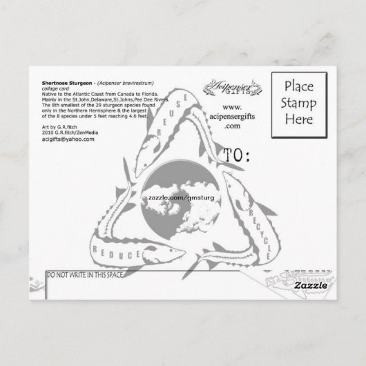 Kortnose Sturgeon Briefkaart (Achterkant)