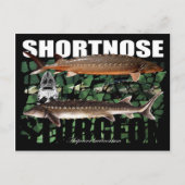 Kortnose Sturgeon Briefkaart (Voorkant)