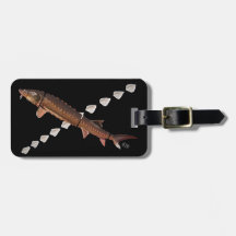 Kortnose Sturgeon & Scutes Bagagelabel