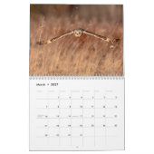Kortooruil 2026 kalender (Mar 2027)