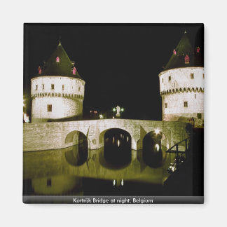 Kortrijkse brug bij nacht, België Magneet