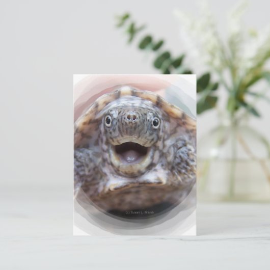 Kortschildpad open rond lijst Mad Muskturf Briefkaart (Staand voorkant)