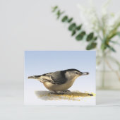 Kortsnuitkever Briefkaart (Staand voorkant)