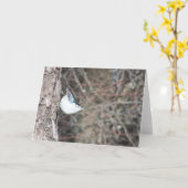 Kortsnuitkever Kaart (Gele Bloem)