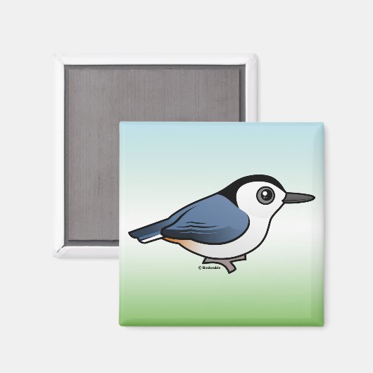 Kortsnuitkever Magneet (Voorkant / Achterkant)