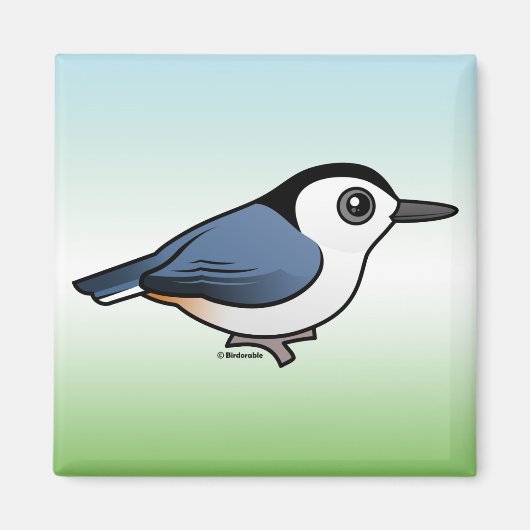 Kortsnuitkever Magneet (Voorkant)