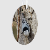 Kortsnuitkever Ornament (voorkant)