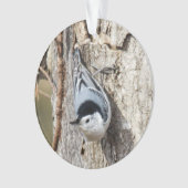 Kortsnuitkever Ornament (voorkant)