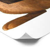 Kortsnuitkever Poster (Hoek)