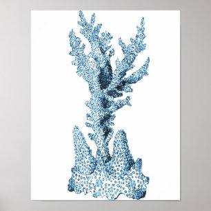 Kortstondig kuststrand zee blauw poster