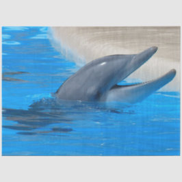 Kortstondige dolfijnenontkoppelingspapier tissuepapier