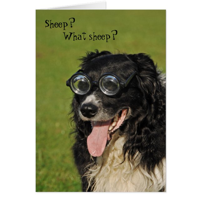 Kortziende Collie Card c (Voorkant)
