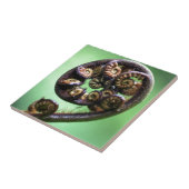 Koru-vlinderschijfje Tegeltje (Zijkant)