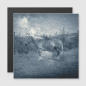  kosmisch zilvergalaxiaal paard (Voorkant / Achterkant)