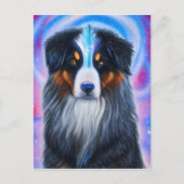 Kosmische Berner Berg Hond Briefkaart (Voorkant)