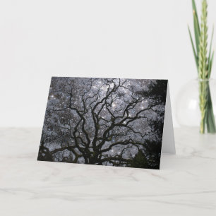 Kosmische Boom - de Cluster van de Ster Feestdagen Kaart