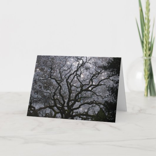 Kosmische Boom - de Cluster van de Ster Feestdagen Kaart (Voorkant)