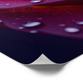 Kosmische nectar poster (Hoek)