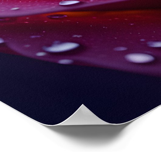 Kosmische nectar poster (Hoek)