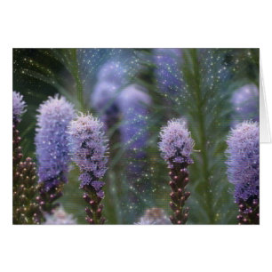 Kosmische Paarse spire bloemen