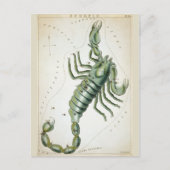 Kosmische Schorpioendierenriem Briefkaart (Voorkant)