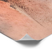 kosmische transfiguratie poster (Hoek)