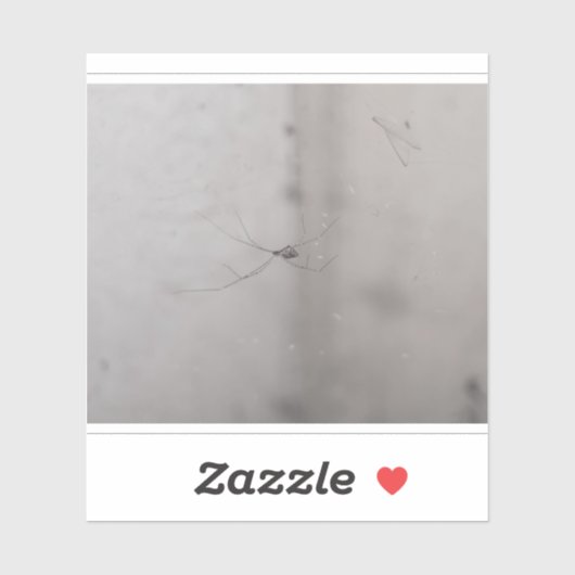 kosmopolitische kelderspin sticker (Vel)