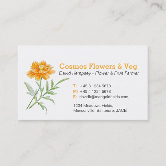 Kosmos aster boer / bloementeler visitekaartjes (Voorkant)