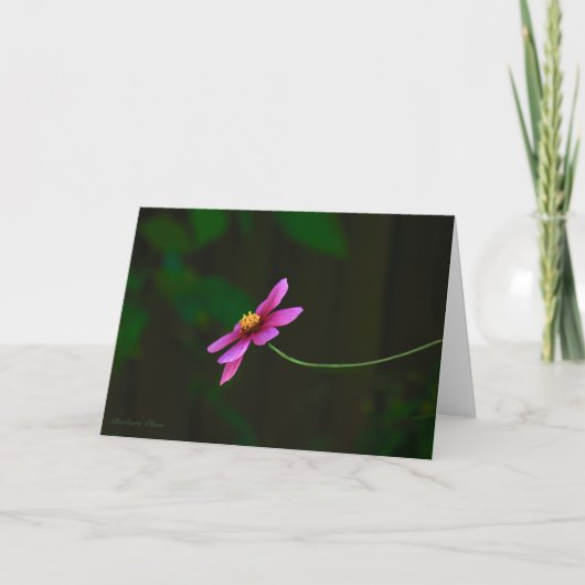 Kosmos Bloemen-Dankbaarheid: met Quote Kaart (Voorkant)