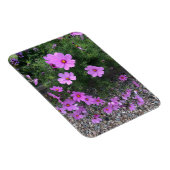 Kosmos bloemen met steentjes Op een Magneet (Rechterzijde)