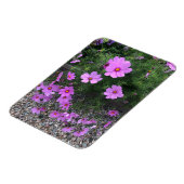 Kosmos bloemen met steentjes Op een Magneet (Linkerzijde)
